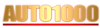 Logo Auto1000